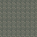 ERBA ORTICA 11
