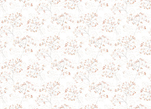 Обои с ветками Marburg Fresh Up 88932