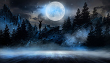 3D обои с рисунком животные Design Studio 3D Moon Night AG-MN-002