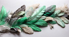 Design Studio 3D Feathers AG-FT-024